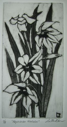 abyssinian gladiolus